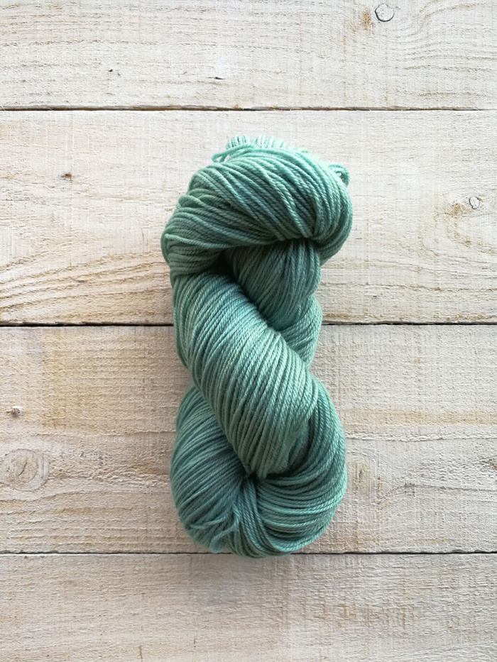A2342 Eucalyptus