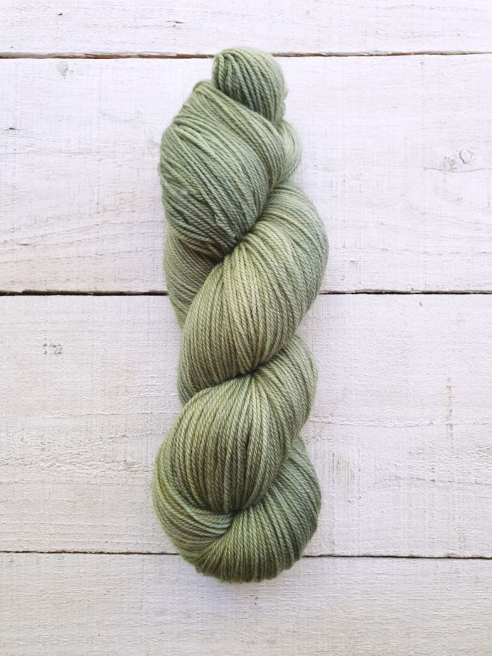 A2357 Fern