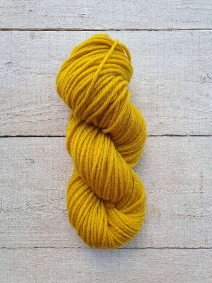 D2040 Daffodil
