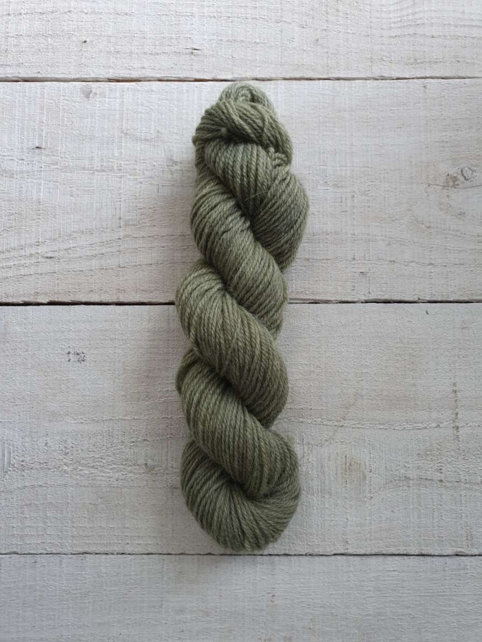 H2339 Celery