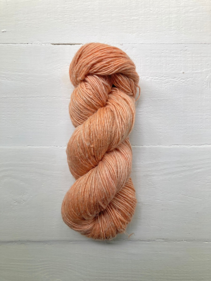 i2163 Apricot